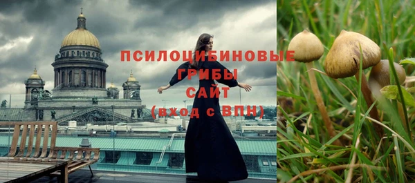 ГАЛЛЮЦИНОГЕННЫЕ ГРИБЫ Куйбышев