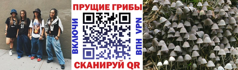 где купить   Монино  Галлюциногенные грибы Magic Shrooms 