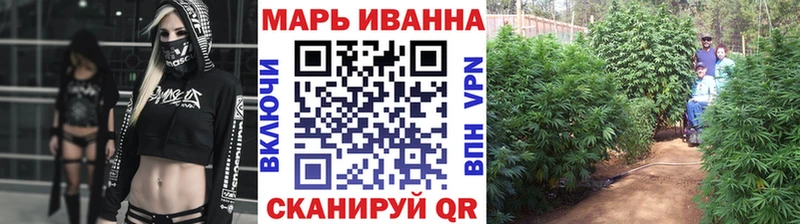 Канабис конопля  Монино 